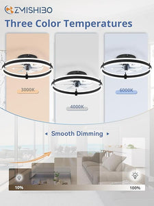 Ceiling Fans with Lights