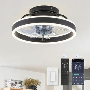 Ceiling Fans with Lights