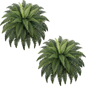 Fake Ferns